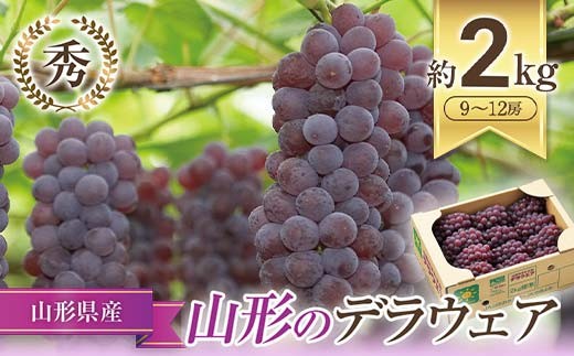 
            【令和8年産先行予約】 JA デラウェア 約2kg (9～12房 秀） 《令和8年7月下旬～8月下旬発送》 『JA山形おきたま』 葡萄 ぶどう ブドウ 種なし 果物 フルーツ 山形県 南陽市 [921]
          