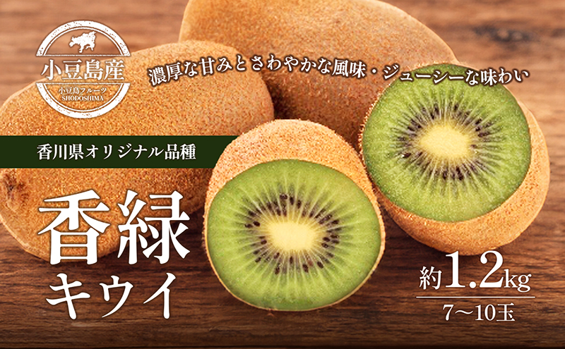 キウイフルーツ 香緑 こうりょく 香川県産 国産 約1.2kg 7～12玉 濃厚 ジューシー 甘み 緑の果肉 香川オリジナル品種 グリーンキウイ 国産キウイ キウイ 果物 フルーツ 果実 ヨーグルト ギフト 贈答用 五色青果 香川 土庄 香川県 土庄町