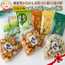 【ふるさと納税】＜ギフト＞【贅沢三昧】 風味豊かなさしま茶　ほし納豆　揚げ餅　てんこ盛りセット（梅）