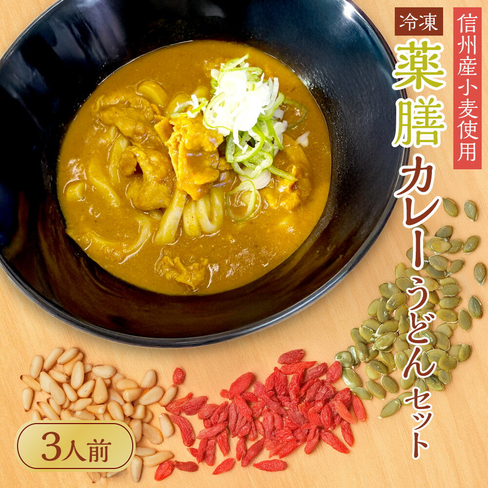 【ふるさと納税】信州産小麦使用　冷凍薬膳カレーうどんセット　3人前 | 麺 食品 加工食品 人気 おすすめ 送料無料