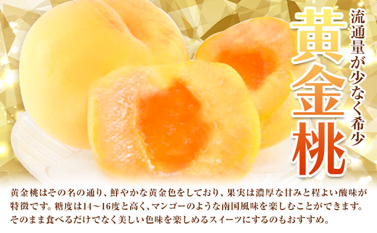 黄金桃 約3.8kg 花田青果株式会社《8月下旬-9月上旬頃出荷》岡山県 浅口市 黄桃 桃 もも 旬 フルーツ 果物 【配送不可地域あり】（離島）