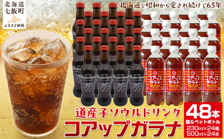 コアップガラナ48本セット 道産子ソウルドリンク！ファンに大人気！NAQ001