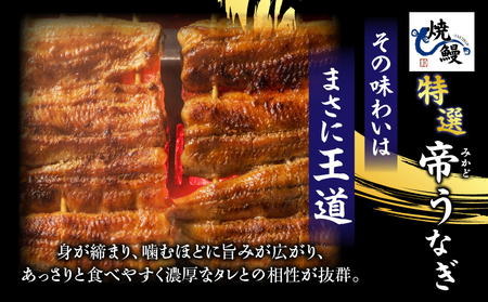 焼鰻特選オス帝うなぎ大2尾　計280g　（白焼き・たれ付き）・Y099