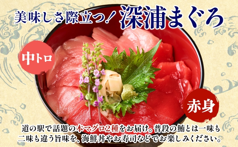 本マグロ 赤身 2柵 中トロ 1柵 セット 国産 本鮪 まぐろ マグロ クロマグロ 鮪 刺身 丼ぶり 寿司 海鮮 魚介 贅沢 お取り寄せ 詰め合わせ グルメ 産地直送 送料無料 冷凍 道の駅 青森県 