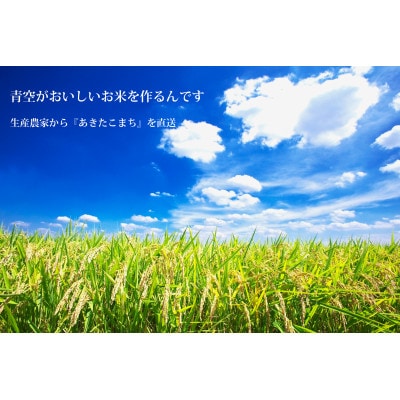 【令和8年産】秋田県産　稲穂の力　特別栽培米あきたこまち 　白米5kg×1袋　精米【配送不可地域：離島・沖縄県】
