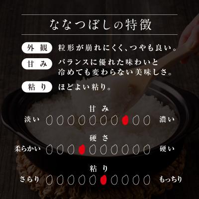 ふるさと納税 雨竜町 【新米予約】令和8年産 雨竜産 ななつぼし 精米 10kg(5kg×2袋)【定期便全5回】 |  | 01