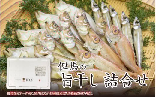 但馬の旨干し 詰合せ 【 干物 ひもの 但馬 おつまみ 国産 人気 おすすめ 】