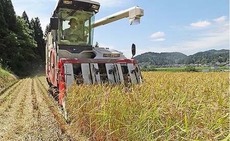 48-M106【6ヶ月連続お届け】【無洗米】新潟県長岡産特別栽培米コシヒカリ10kg