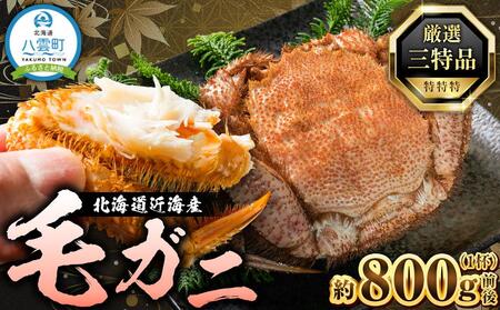 先行予約【厳選三特品】北海道産近海毛ガニ800g前後×1尾 2025年9月上旬発送開始予定【 毛がに 北海道 かに 蟹 かにみそ 小分け 毛蟹 海産物 食品 魚介 魚介類 海鮮 お取り寄せ お取り寄せグルメ 冷凍 魚介類 水産物応援 水産物支援 八雲町 北海道   】