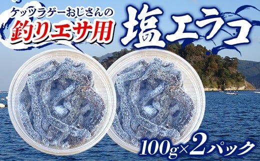 ケッツラゲーおじさんの 釣りエサ用塩エラコ100g×2パック 釣り用エサ 環形動物 三陸山田 山田町 YD-1038