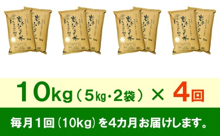 3人に1人がリピーター!☆全4回定期便☆ 岩手ふるさと米 10kg(5㎏×2)×4ヶ月 令和5年産 一等米ひとめぼれ 東北有数のお米の産地 岩手県奥州市産 [U0163]