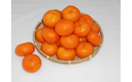 
紀州完熟みかん 3kg（Sサイズ）
