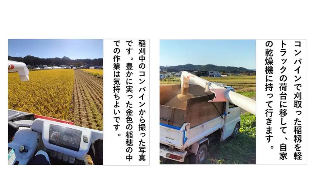 【令和7年産】秋田県産「あきたこまち」玄米5kg（5kg×1袋）　【90P9036】