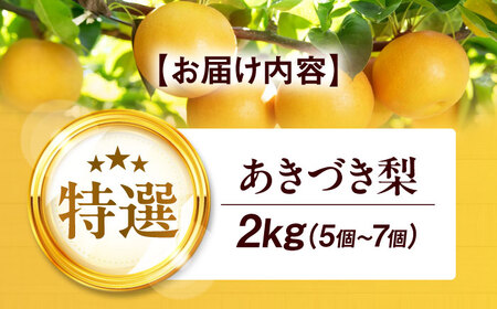 【先行予約】【2025年9月中旬から順次発送】特選 あきづき 梨 2kg（5個から7個入り）愛媛県大洲市/幸野観光なし園[AGBD008] 梨 梨 梨 梨 梨 梨