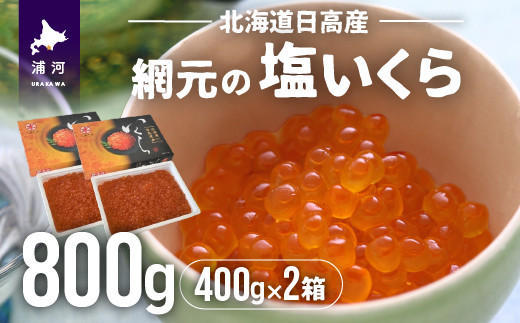 
                  【めしの素(秋鮭)2P付】網元の塩いくら(400gx2箱)[01-576]
                