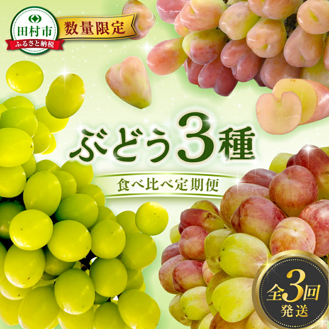 【ふるさと納税】【先行予約 2025年発送】＼ぶどう 3種 食べ比べ 定期便／ 3回発送 冷蔵 高級 種無し 種なし シャインマスカット ブドウ ぶどう 品種 果物 フルーツ 巨峰 美味しい 希少 人気 福島県 田村市 鈴木農園