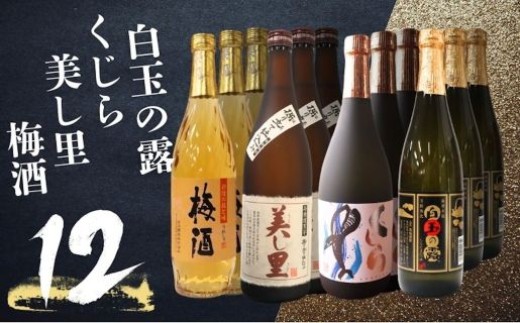 
                  No.5072-1　白玉の露 ・梅酒・美し里・くじら（4合瓶）12本セット
                