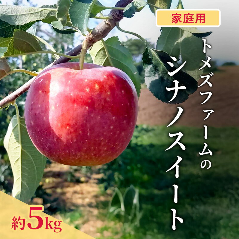 【ふるさと納税】シナノスイート（家庭用） 約5kg（15～20玉入り）トメズファーム　りんご　長野　信州　小諸　果物　フルーツ　お届け：2026年10月上旬より順次発送致します。