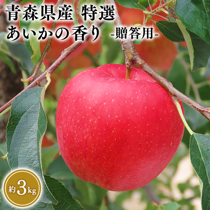 １１～１２月発送　特選　甚八りんごあいかの香り３kg　【マルジンサンアップル　11月　12月　青森県産　平川市　りんご　あいかの香り　3kg　特選　贈答用】