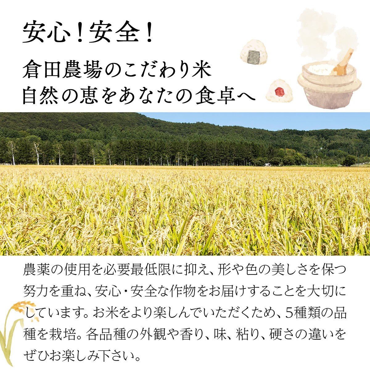 5ヶ月定期便　北海道岩見沢産米　おぼろづき精米5kg≪沖縄・離島配送不可≫【35042】