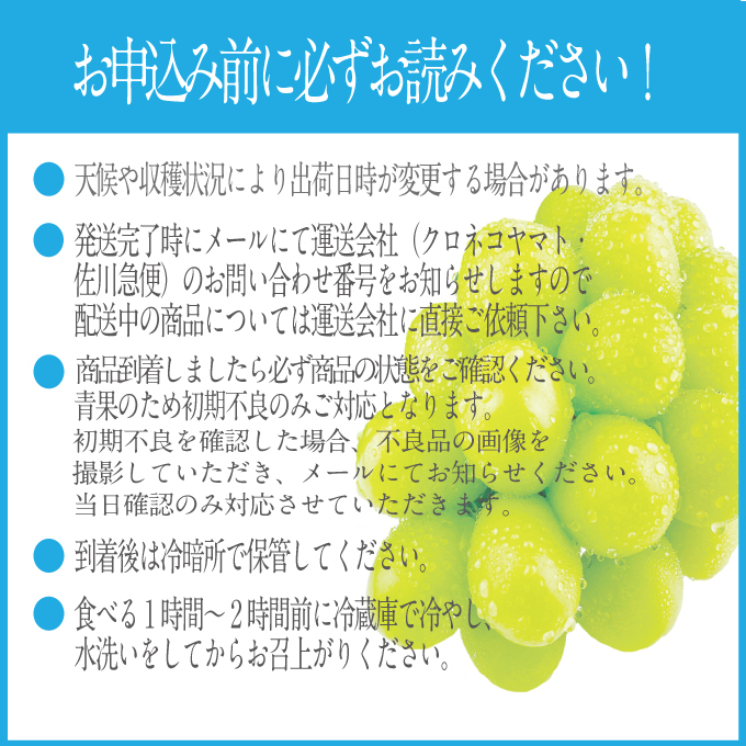 2026年 先行先行予約【2回定期便】シャインマスカット晴王1房 約700g 岡山県産 種無し 皮ごと食べる みずみずしい 甘い フレッシュ 瀬戸内 晴れの国 おかやま 果物大国 ハレノフルーツ9月1