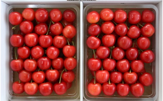 08-09-001　さくらんぼ(佐藤錦)700g