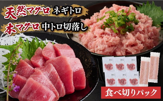 
            天然 本マグロ 中トロ 刺身 と 天然マグロ ネギトロ セット まぐろ 刺身 海鮮 冷凍 魚 海産物 魚介類 父の日 高知県 まぐろたたき 鮪
          