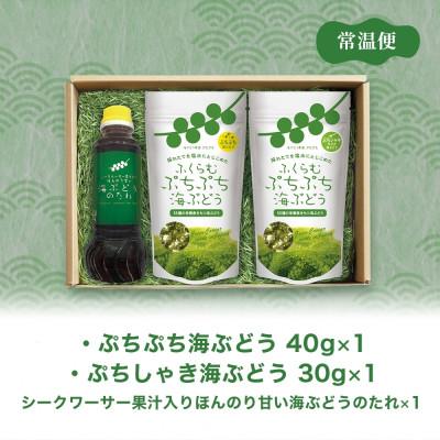 ふるさと納税 糸満市 「ふくらむぷちぷち海ぶどう」とシークワーサー入り海ぶどうのたれセット 沖縄県 糸満市 |  | 03