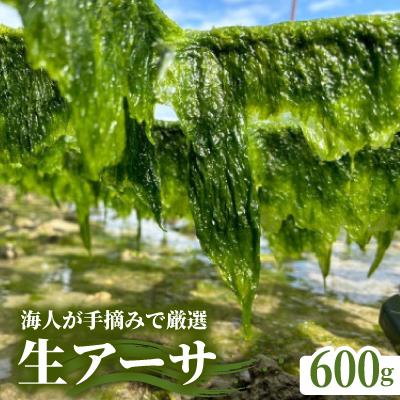 ふるさと納税 中城村 中城産 海人が手摘みで厳選 生アーサ 600g(300g×2袋)