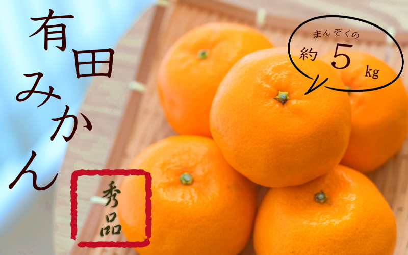 
            紀州有田みかん 秀品 約５kg サイズおまかせ(Ｌ・М・Ｓ) / みかん ミカン くだもの 果物 フルーツ 柑橘 オレンジ 和歌山【sml108A】
          