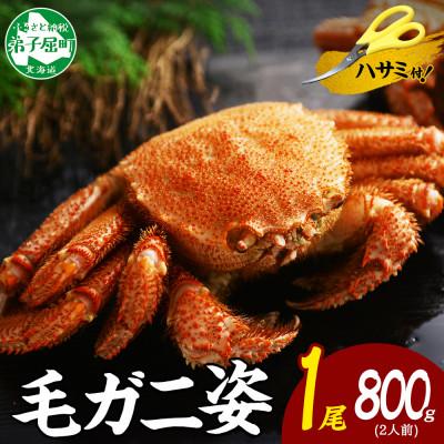 ふるさと納税 弟子屈町 【北海道】毛蟹 姿(大) ボイル済み 800g前後 蟹ハサミ・ガイド付 3302
