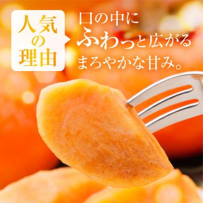 ふるさと納税 本巣市 福井農園の富有柿ご家庭用3kg(10〜12個入り)2L、3L、4Lサイズ |  | 01