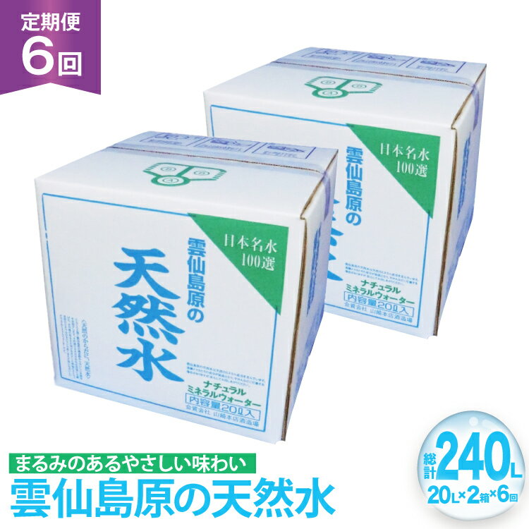 【ふるさと納税】 AJ627 山崎本店酒造場 【6回定期便】 雲仙島原の天然水 20L 2箱 [ 水 天然水 ウォーター おいしい 定期便 定期 名水百選 大容量 日用品 軟水 長崎県 島原市 ]