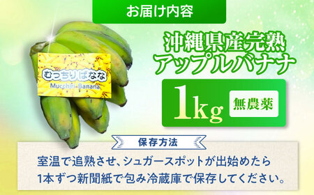 ムッチリ食感！沖縄県産アップルバナナ 1kg バナナ フルーツ 果物 無農薬 banana 沖縄市 / タカエス フルーツ＆ベジタブル[BCBH003]
