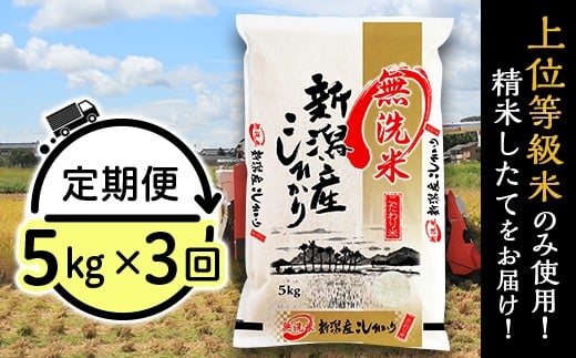 31-M53【無洗米】新潟県産コシヒカリ5kg【3ヶ月連続お届け】