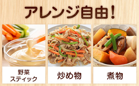 【先行予約】人参 約10kg (35-65本) 日本フルーツ株式会社《2026年4月上旬-6月上旬頃出荷》熊本県 菊池市 にんじん ニンジン 野菜 熊本県産