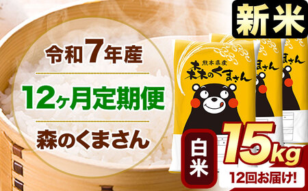 【12ヶ月定期便】新米 令和7年産 白米 森のくまさん 15kg (5kg×3袋) 《1月から出荷開始》 熊本県産 白米 精米 米 こめ コメ お米 kome