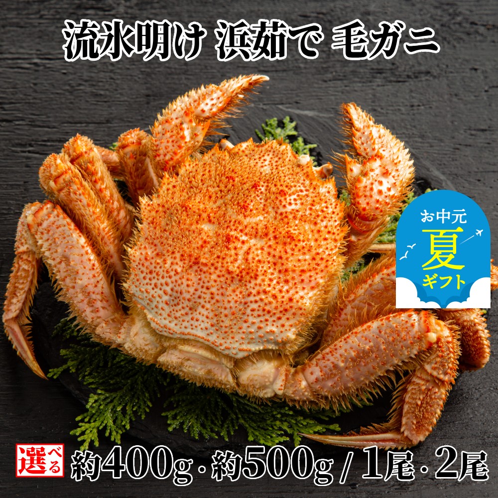 【ふるさと納税】流氷明け 浜ゆで 毛ガニ | お中元 御中元 夏ギフト ギフト 贈り物 贈答 選べる 毛蟹 毛がに カニミソ かにみそ 蟹味噌 1尾 2尾 北海道産 セット グルメ プレゼント ギフト 海鮮 海鮮食品 ふるさと納税 納税 北海道 紋別市