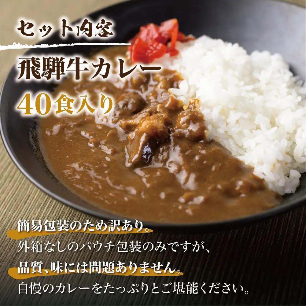 飛騨牛カレー（160ｇ×40袋）| 訳あり ご当地 ビーフカレー レトルト 人気 飛騨高山 DC009VC13