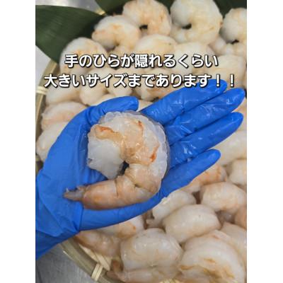 ふるさと納税 伊勢市 伊勢で加工した(養殖)大粒むきえび1Kg袋×2セット 1809 |  | 01