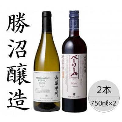 ふるさと納税 笛吹市 勝沼醸造　山梨甲州樽発酵・ベーリーAヴィンテージ 計2本セット 167-046