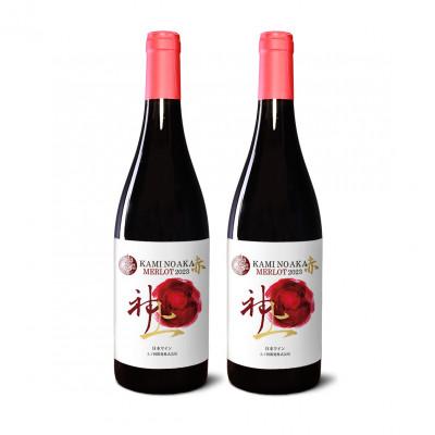 ふるさと納税 上ノ国町 北海道 上ノ国ワイナリーの赤ワイン「上の赤メルロー2023」　750ml×2本