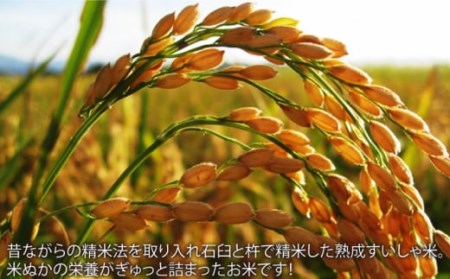 【3回定期便】令和7年産熟成すいしゃ米佐賀県産ヒノヒカリ15kg NAO063 