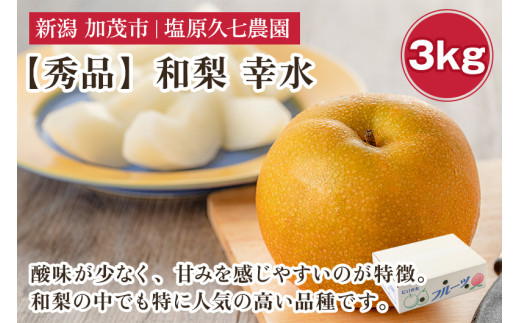 【2026年先行予約】新潟県産 和梨 幸水 3kg 【秀品】《8月中旬～順次発送》 こうすい なし 果物 フルーツ デザート ジューシー シャキシャキ  加茂市 塩原久七農園