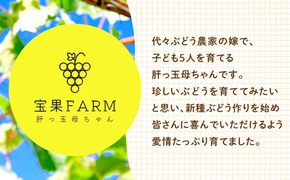 シャインマスカット 大木町 フルーツ 果物 宝果FARM DC003