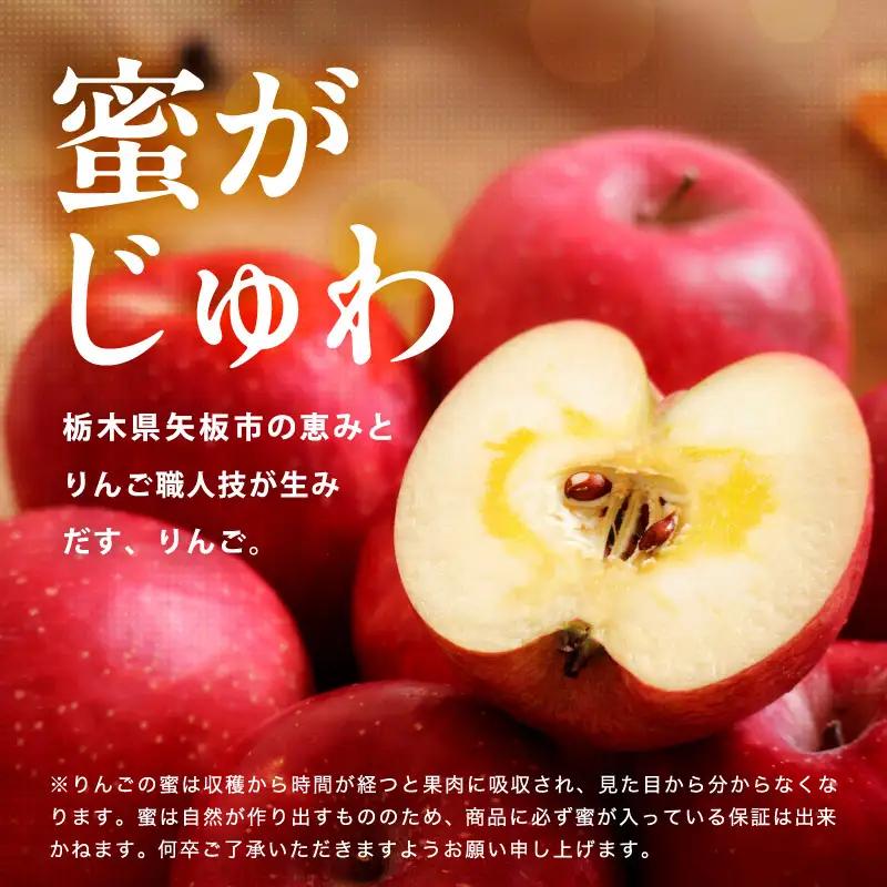 樹上完熟・葉とらず・すっぴんりんご [ サンふじ ] 5kg 栃木県産