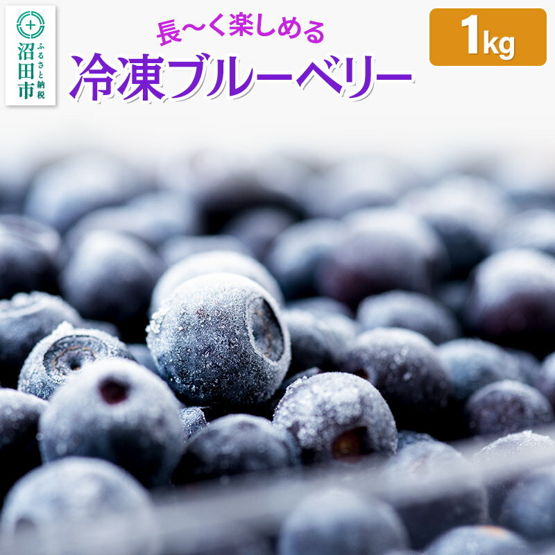 【ふるさと納税】冷凍ブルーベリー1kg【群馬県沼田市利根町産】