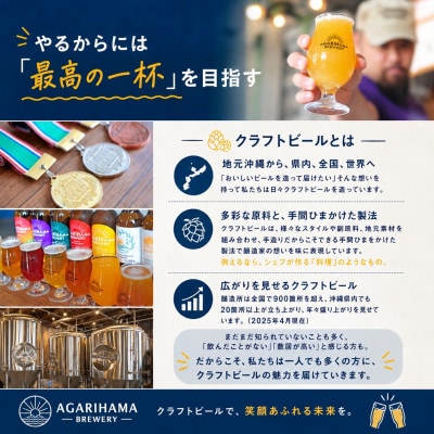 クラフトビール AGARIHAMA BREWERY 定番4種飲み比べ12本セット【配送不可地域：離島】