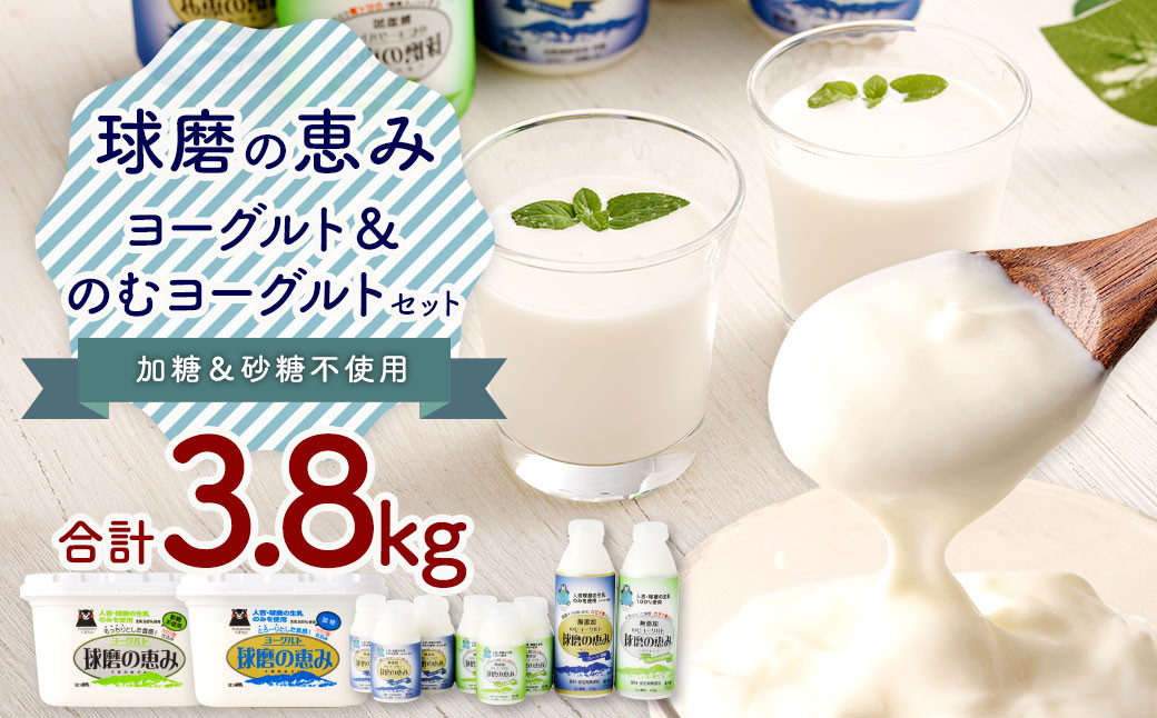 
球磨の恵み ヨーグルト 2パック & ドリンクヨーグルト8本 セット 乳飲料 冷蔵 相良村
