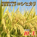 【ふるさと納税】令和6年産【定期便3回】石見高原みずほ米コシヒカリ 無洗米仕上 10kgx3回